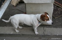 IMG_0527