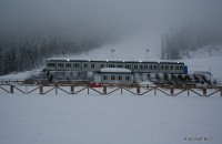 IMG_4939