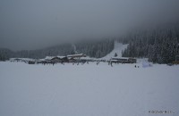 IMG_4942