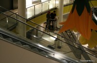 _MG_0260