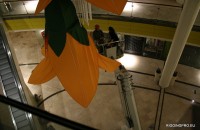 _MG_0265