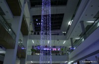 _MG_9317