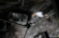 IMG_0260