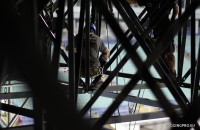 IMG_0915