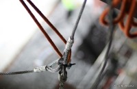 IMG_0985