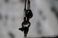 IMG_3008