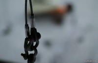 IMG_3011